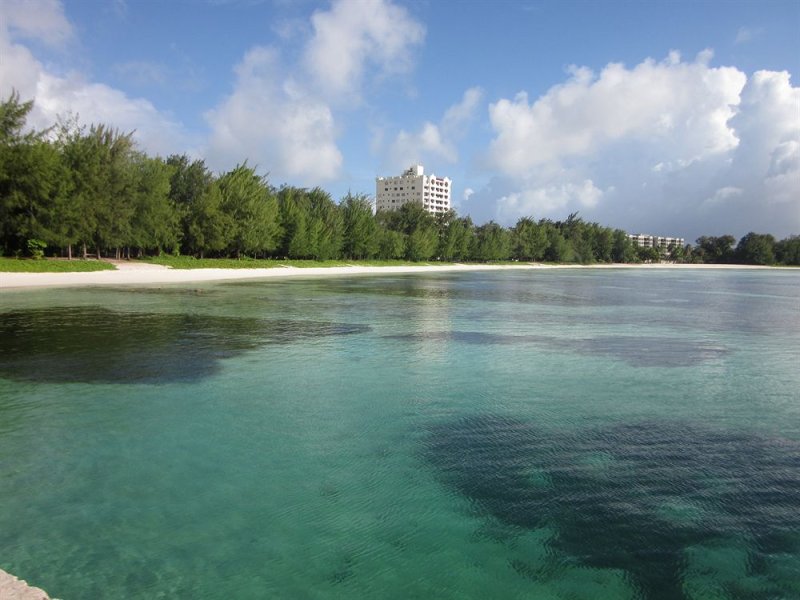 Aquarius Beach TowerPhoto 3