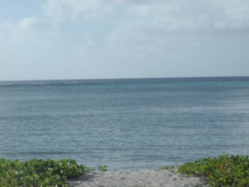 CK Beach ClubPhoto 0