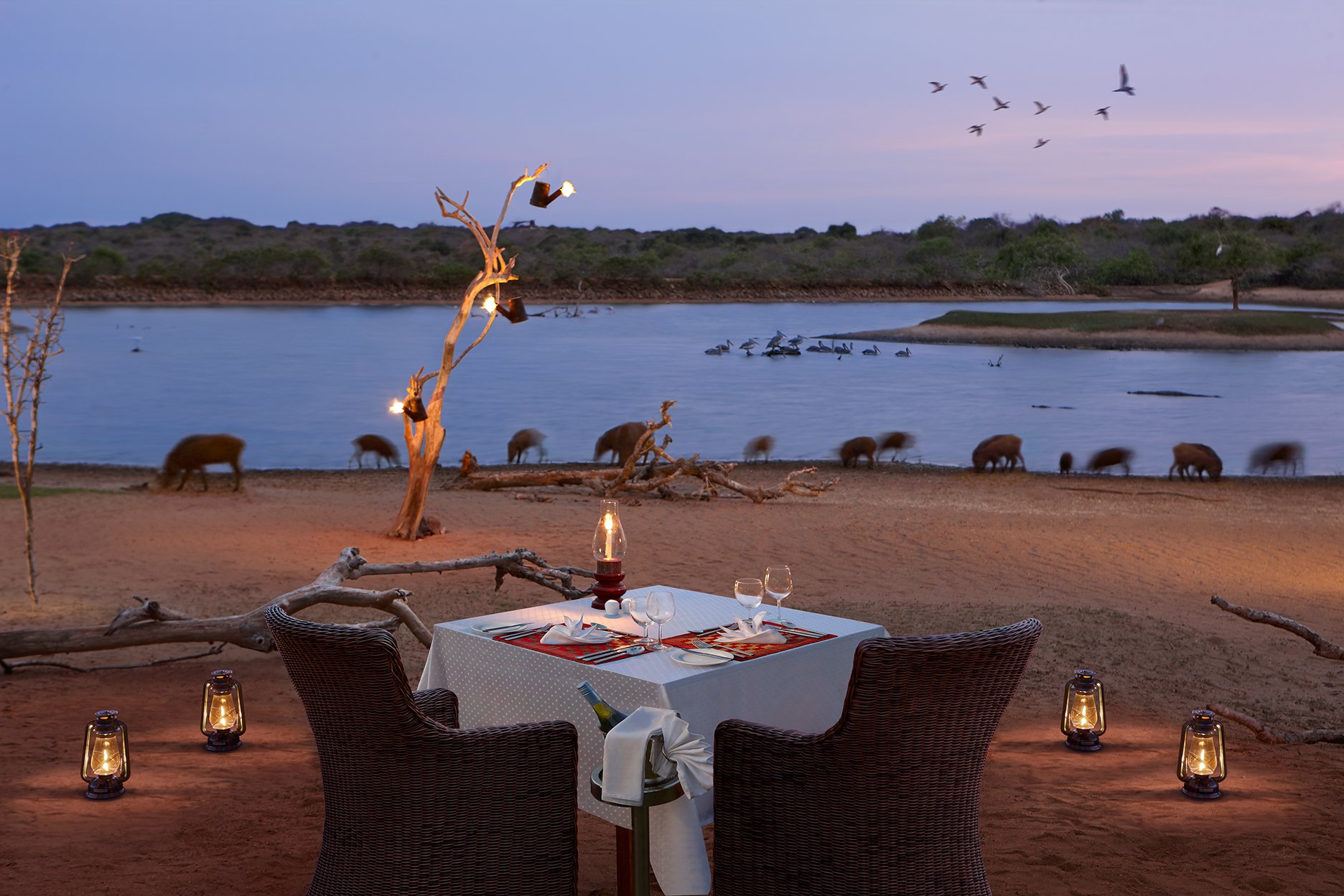 Cinnamon Wild Yala