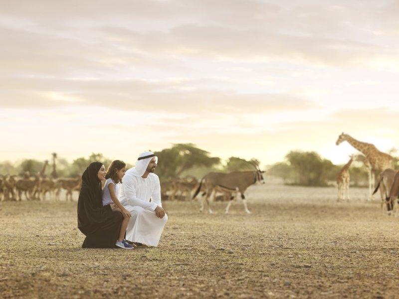 Desert Islands Resort & Spa by AnantaraPhoto 4