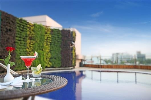 Golden Tulip