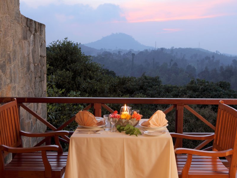 Hotel Tree of LifePhoto 2