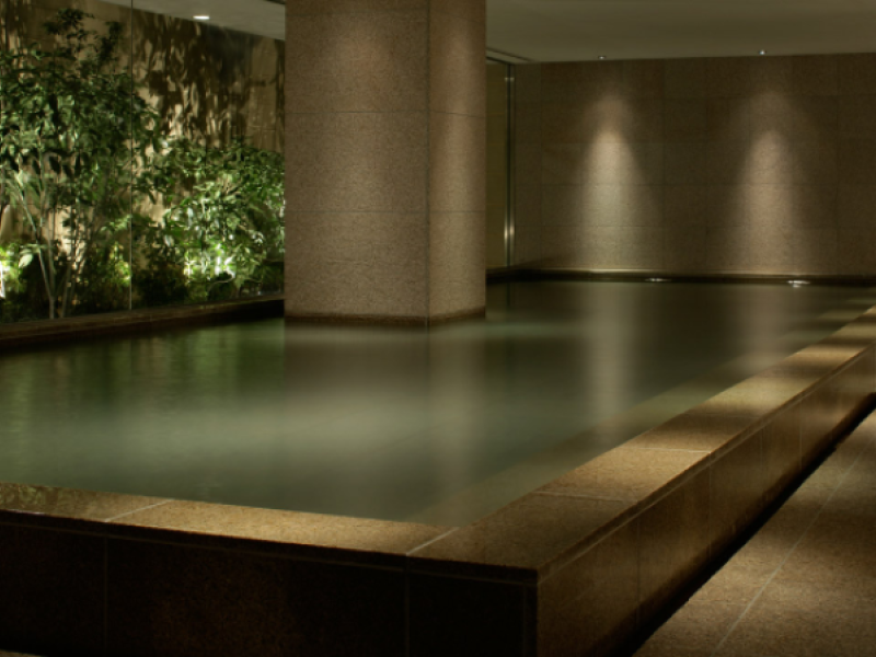 Hyatt Regency HakonePhoto 5