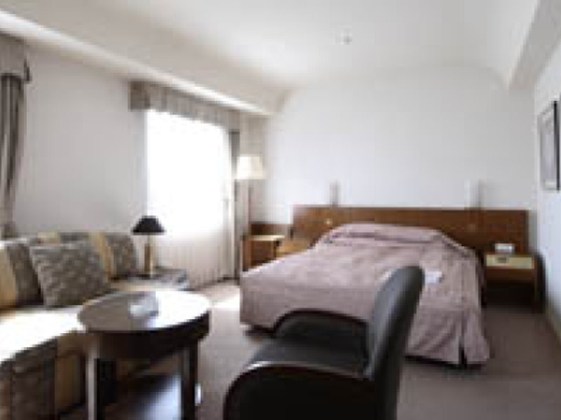 Kakogawa Plaza HotelPhoto 3