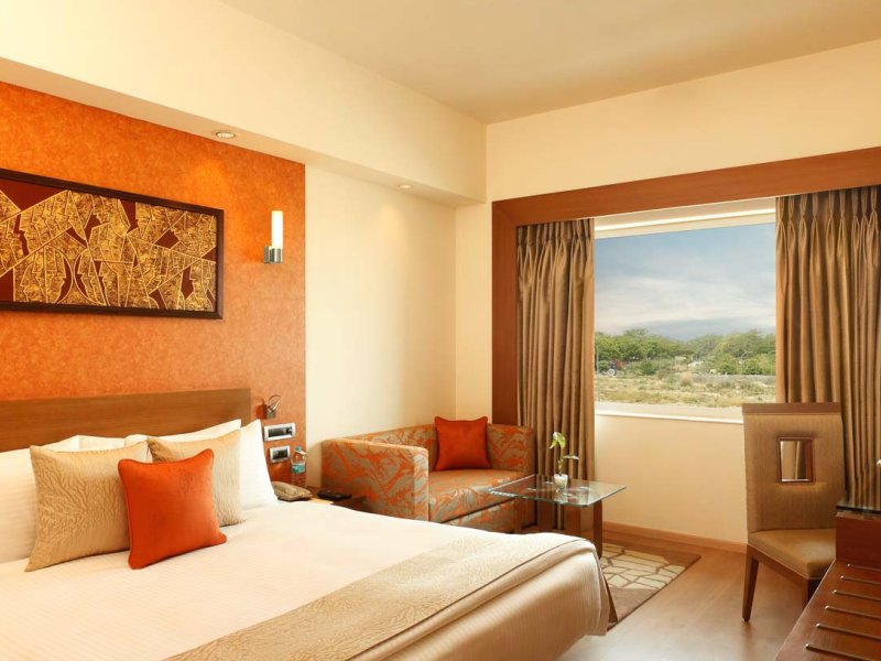 Lemon Tree Premier, Delhi AirportPhoto 4