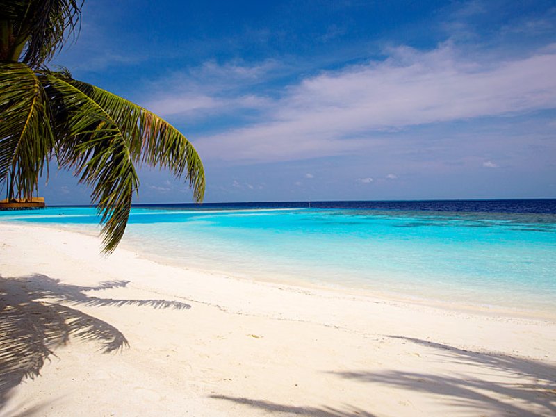 Lily Beach ResortPhoto 5