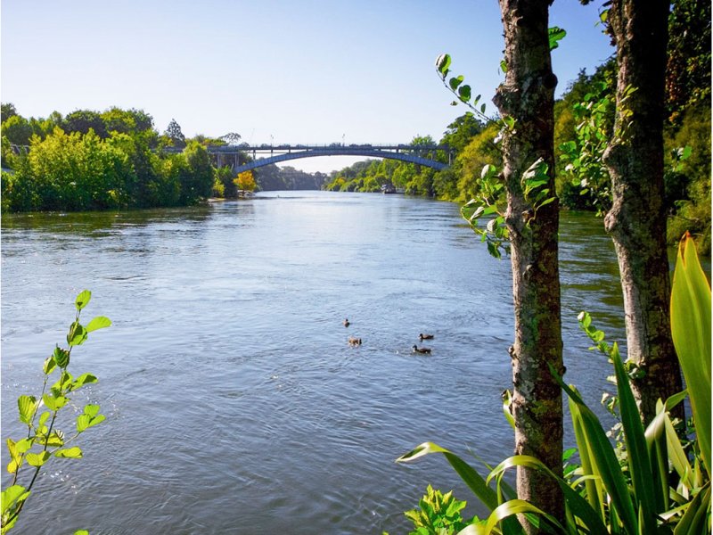 Novotel Hamilton TainuiPhoto 5