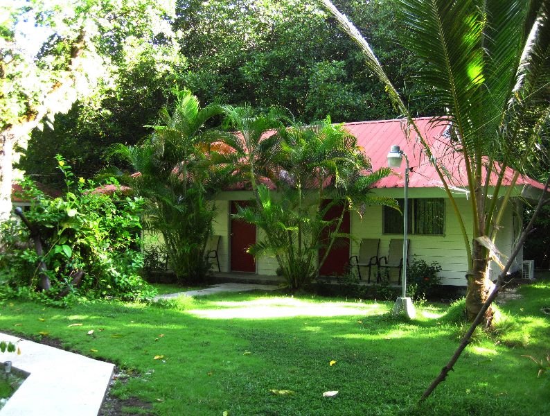 Pacific Treelodge Hotel