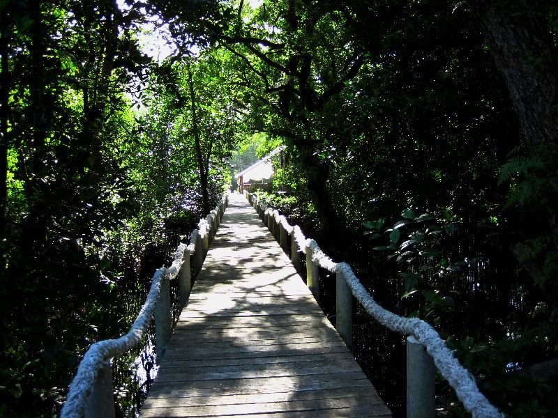 Pacific Treelodge HotelPhoto 1