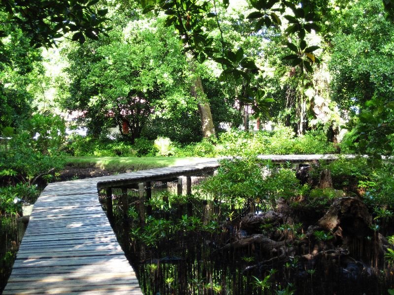 Pacific Treelodge HotelPhoto 3