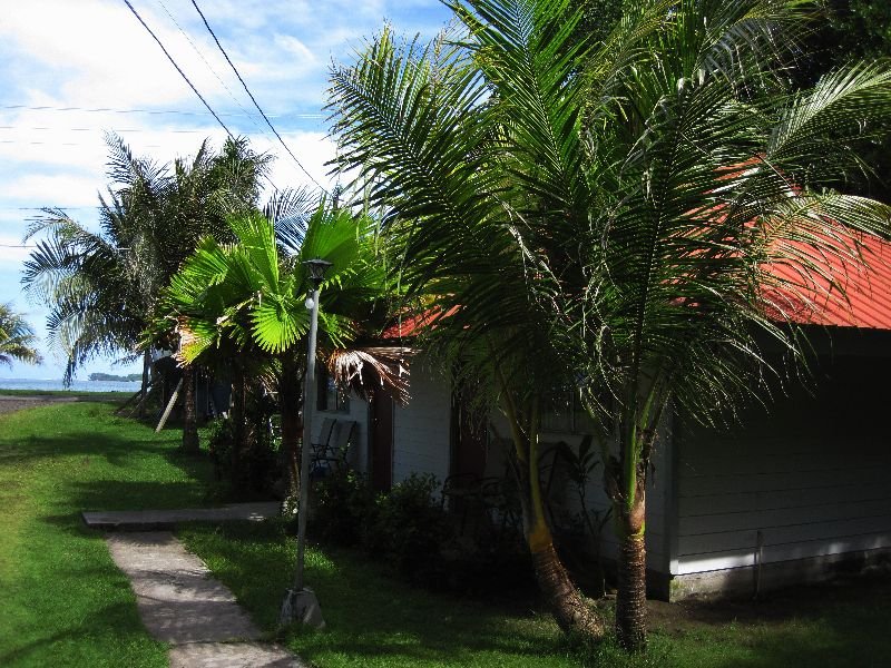 Pacific Treelodge HotelPhoto 4