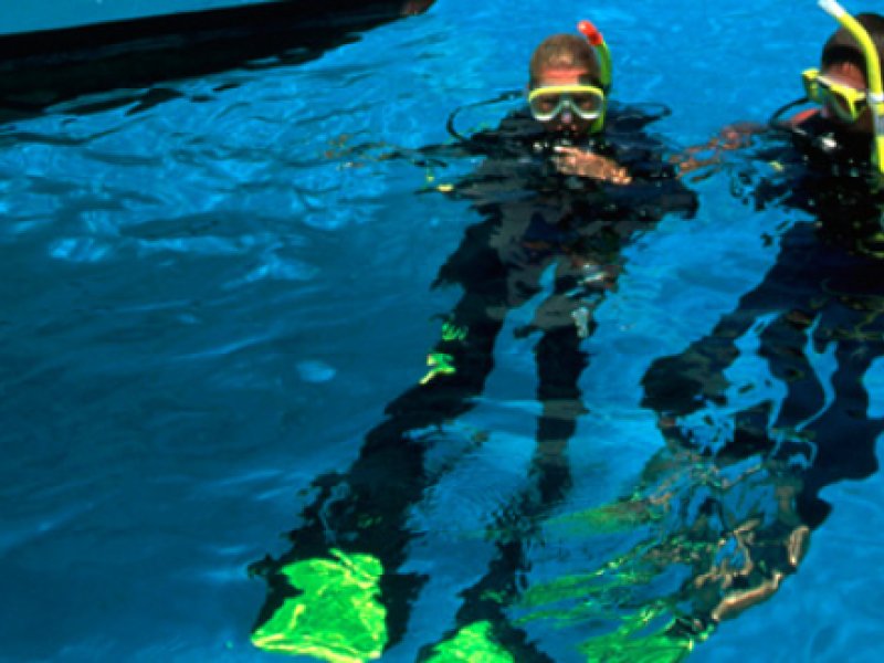 Paradise IslandPhoto 5