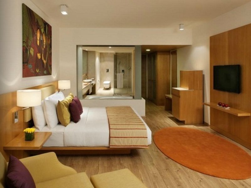 Radisson Blu Plaza Hotel, Hyderabad Banjara HillsPhoto 4