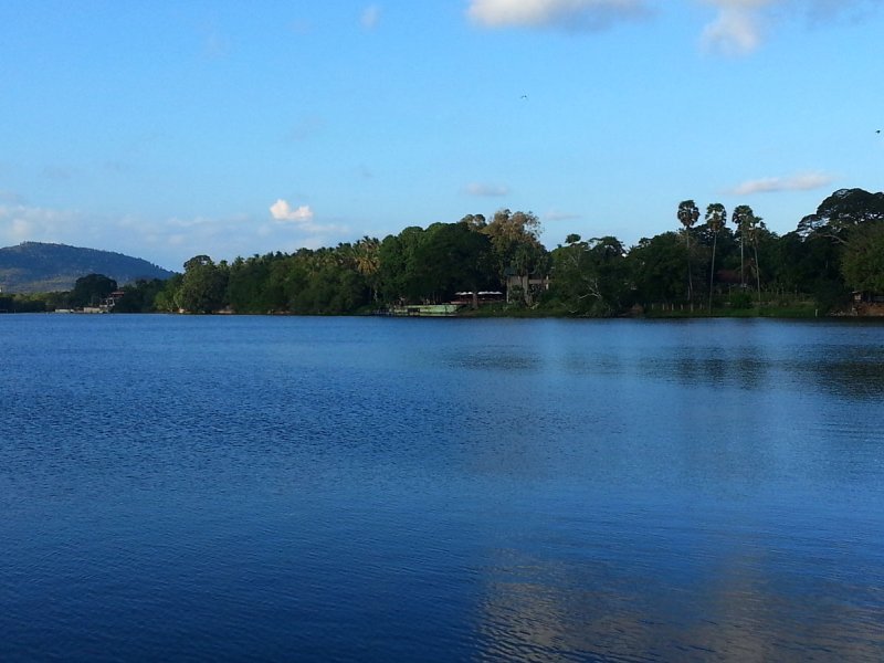 Rosen Renaissance HotelPhoto 3