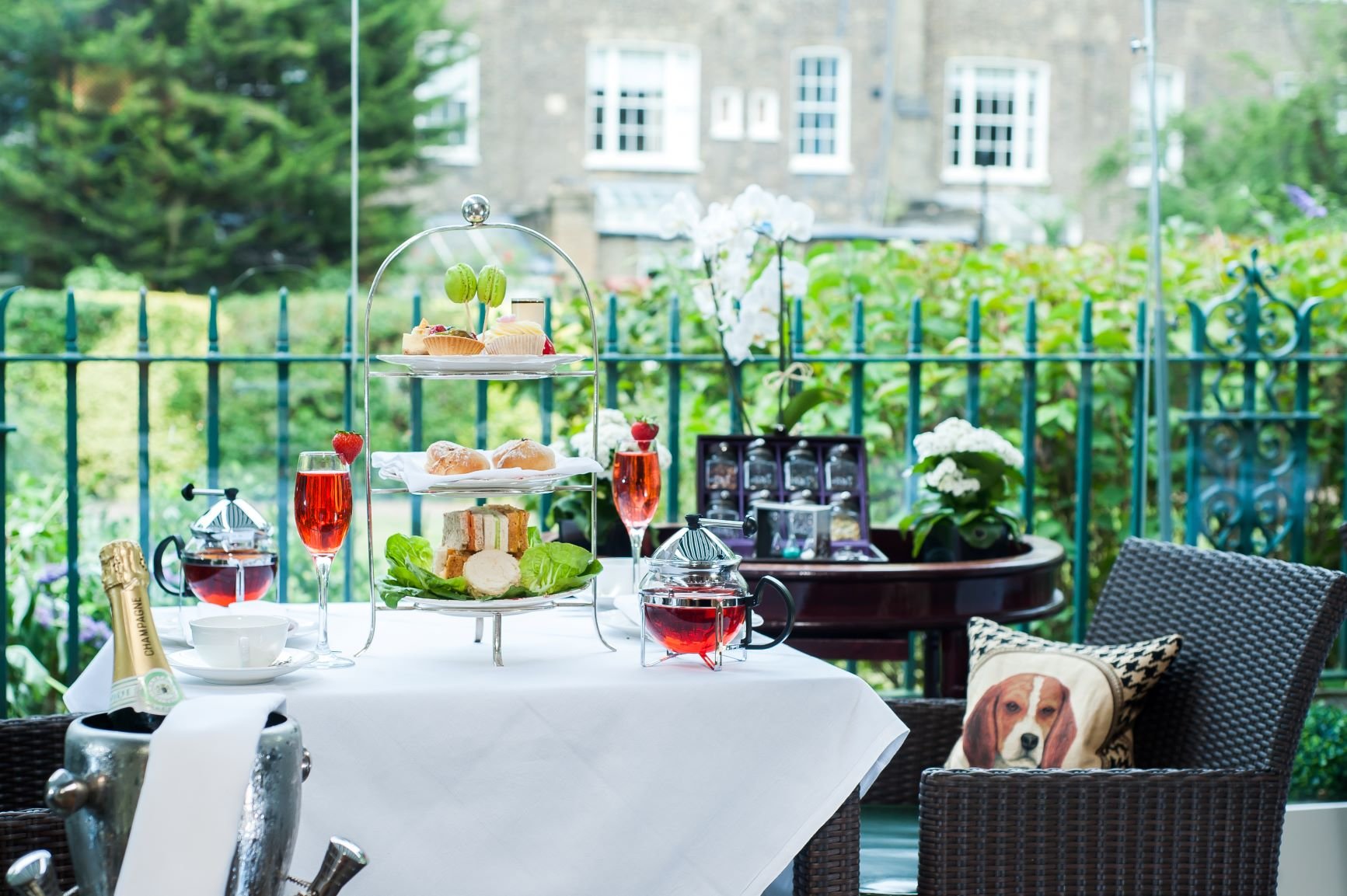 The Montague on the Gardens