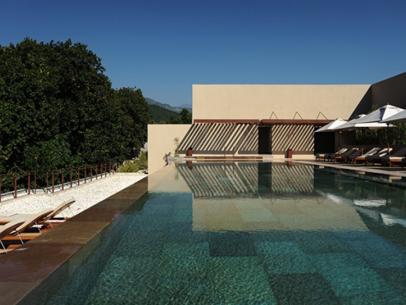 Vana Malsi Estate DehradunPhoto 1