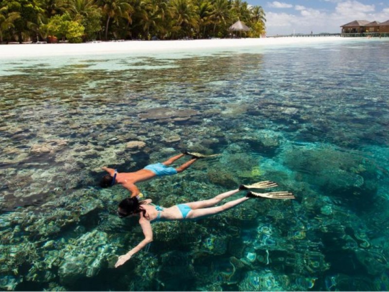 Vilamendhoo Island ResortPhoto 0