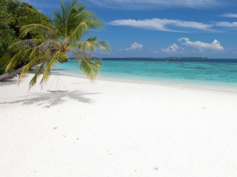 Vilamendhoo Island ResortPhoto 4