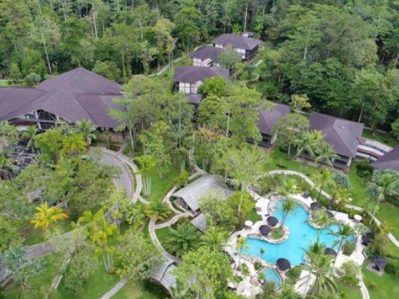 Rimba Papua HotelPhoto 0